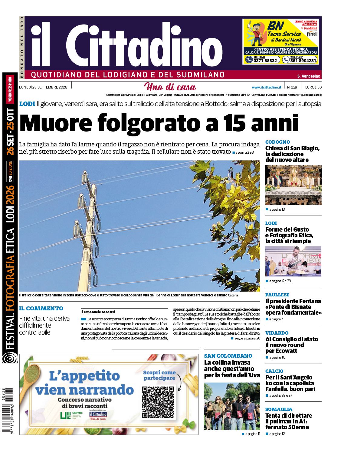 cover_image