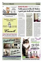 Iniziativa editoriale