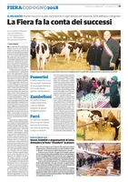 Iniziativa editoriale