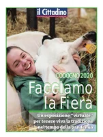 Iniziativa editoriale