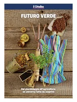 Iniziativa editoriale