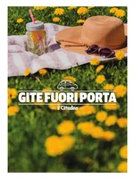 Iniziativa editoriale