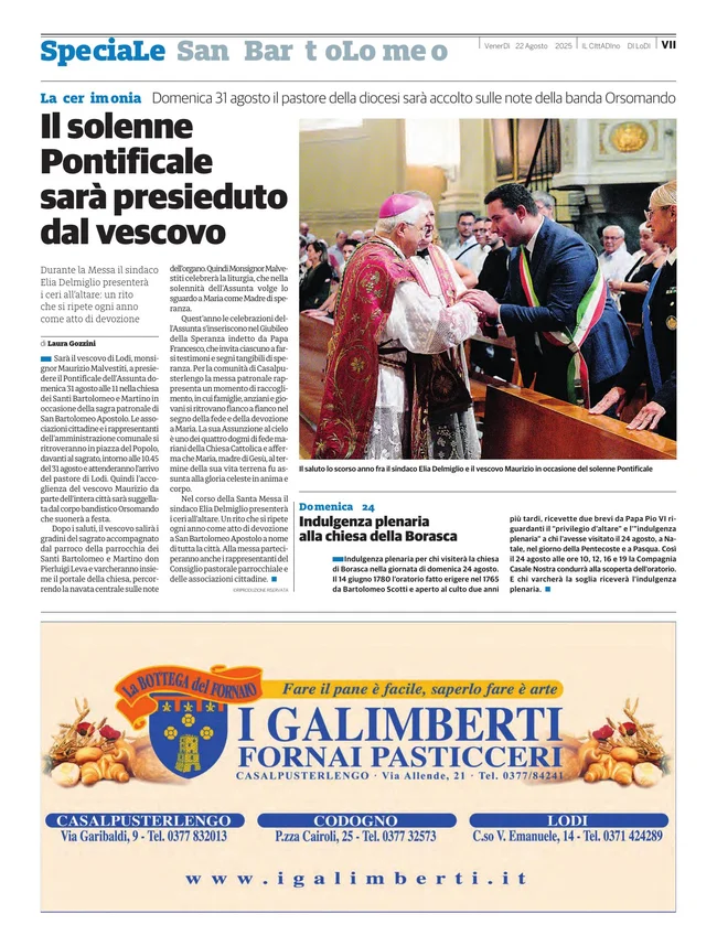 Pagina 7