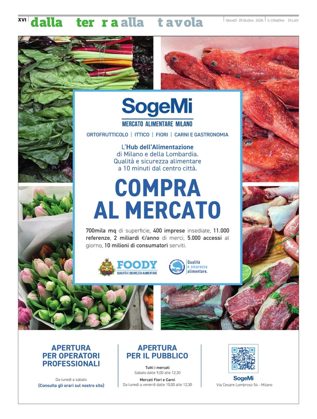 Pagina 16