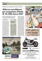 Iniziativa editoriale