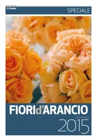 Iniziativa editoriale