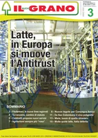 Iniziativa editoriale