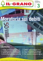 Iniziativa editoriale