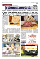 Iniziativa editoriale