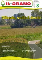 Iniziativa editoriale