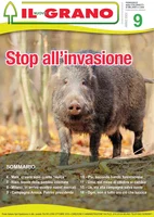 Iniziativa editoriale