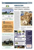 Iniziativa editoriale