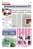 Iniziativa editoriale
