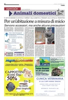 Iniziativa editoriale