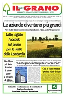 Iniziativa editoriale