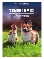 Iniziativa editoriale