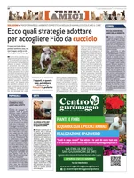 Iniziativa editoriale