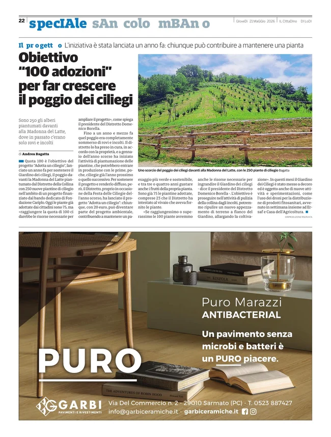 Pagina 7