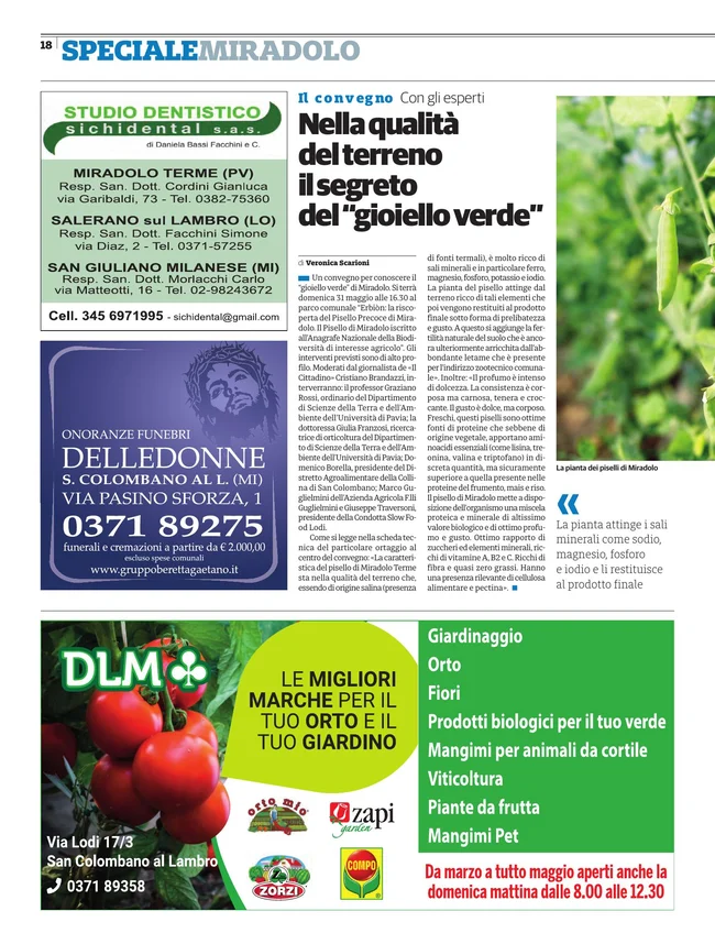 Pagina 2