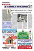 Iniziativa editoriale