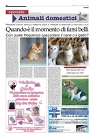 Iniziativa editoriale