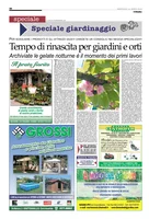 Iniziativa editoriale