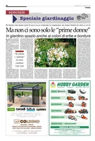 Iniziativa editoriale