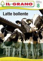 Iniziativa editoriale