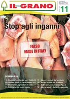 Iniziativa editoriale