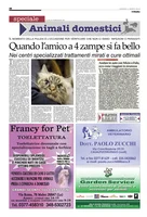 Iniziativa editoriale