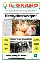 Iniziativa editoriale