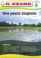 Iniziativa editoriale