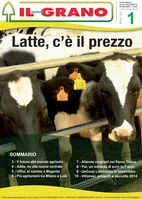 Iniziativa editoriale