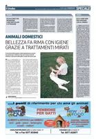 Iniziativa editoriale