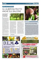 Iniziativa editoriale