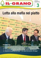 Iniziativa editoriale