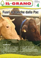 Iniziativa editoriale