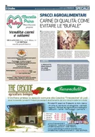 Iniziativa editoriale