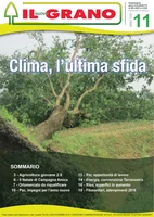 Iniziativa editoriale