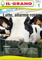 Iniziativa editoriale