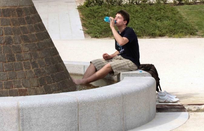 Immagine per 01fe-07ecef163d78-f4f65ee2b41d-1000