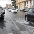 Immagine per 0217-07eee667dfd8-158653545362-1000