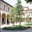 Immagine per 0223-07f471b763d9-455357a4bf58-1000