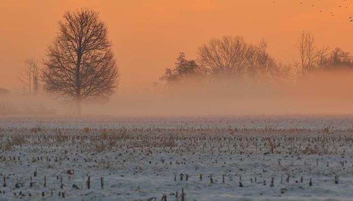 Immagine per 0240-08834beb63e0-4061c37de10f-1000