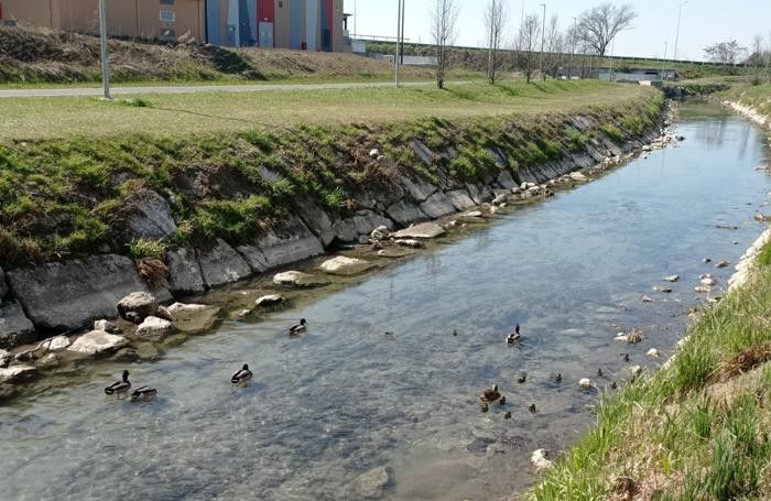 La roggia a San Fereolo