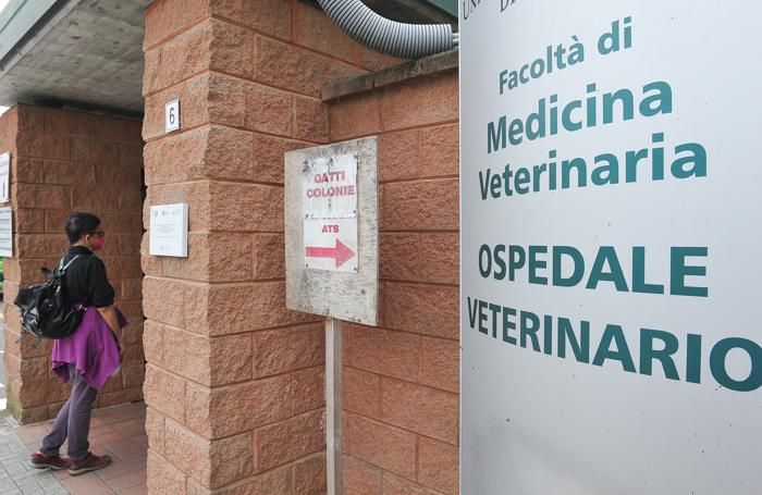 Oggi le porte del Dipartimento di medicina veterinaria e scienze animali si aprono al pubblico per un convegno Oggi le porte del Dipartimento di medicina veterinaria e scienze animali si aprono al pubblico per un convegno