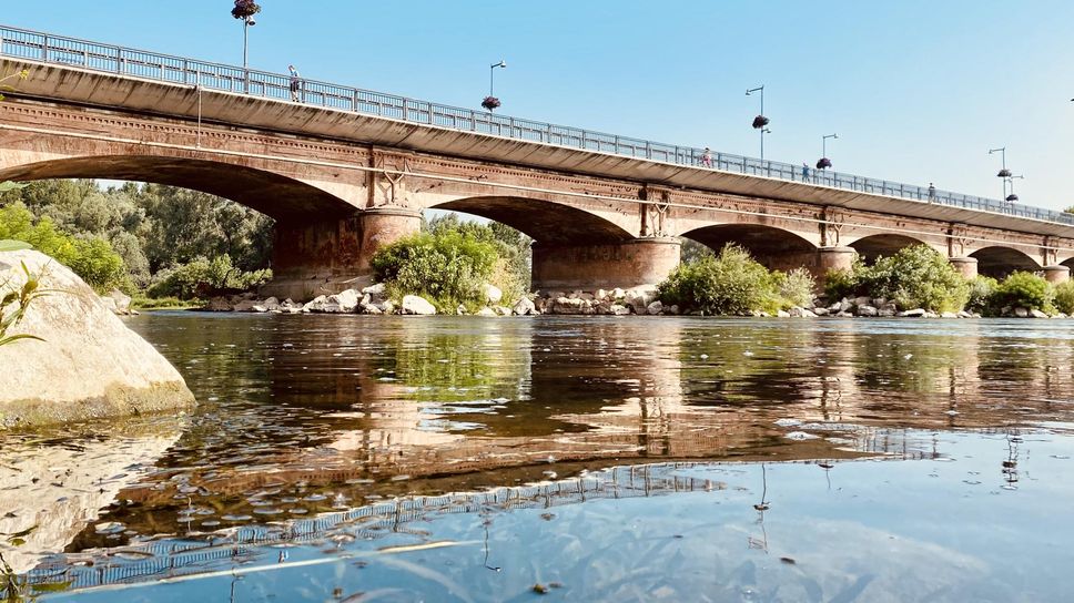 La situazione dell’Adda a Lodi, presso il ponte Bonaparte (Gaudenzi) La situazione dell’Adda a Lodi, presso il ponte Bonaparte (Gaudenzi)