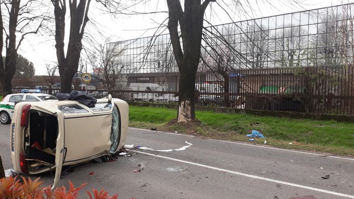 MELEGNANO Si schianta contro un albero in viale della Repubblica e si ...