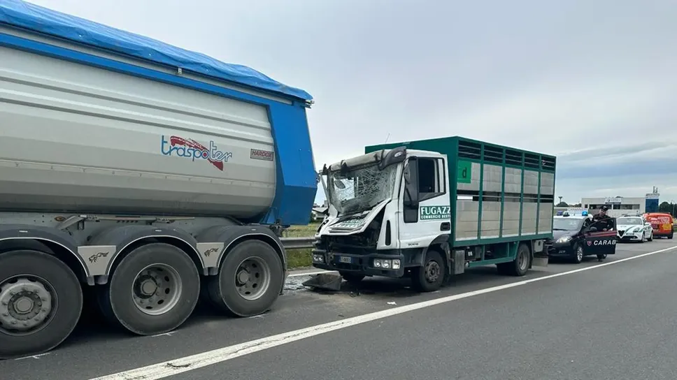 I due mezzi coinvolti nello schianto sulla 235 (Agosti)