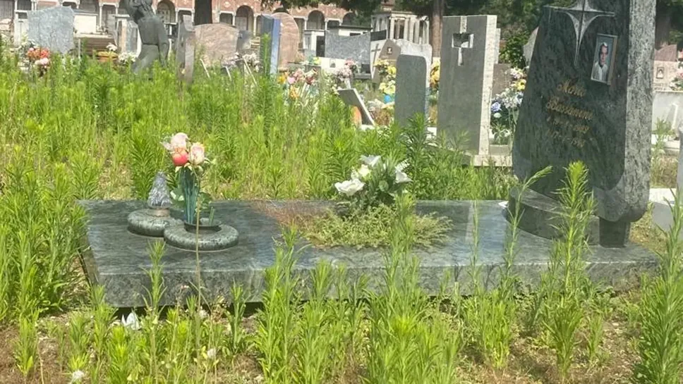 Cimitero Maggiore, le tombe avvolte dalle erbacce (foto scattata domenica 2 luglio 2023)